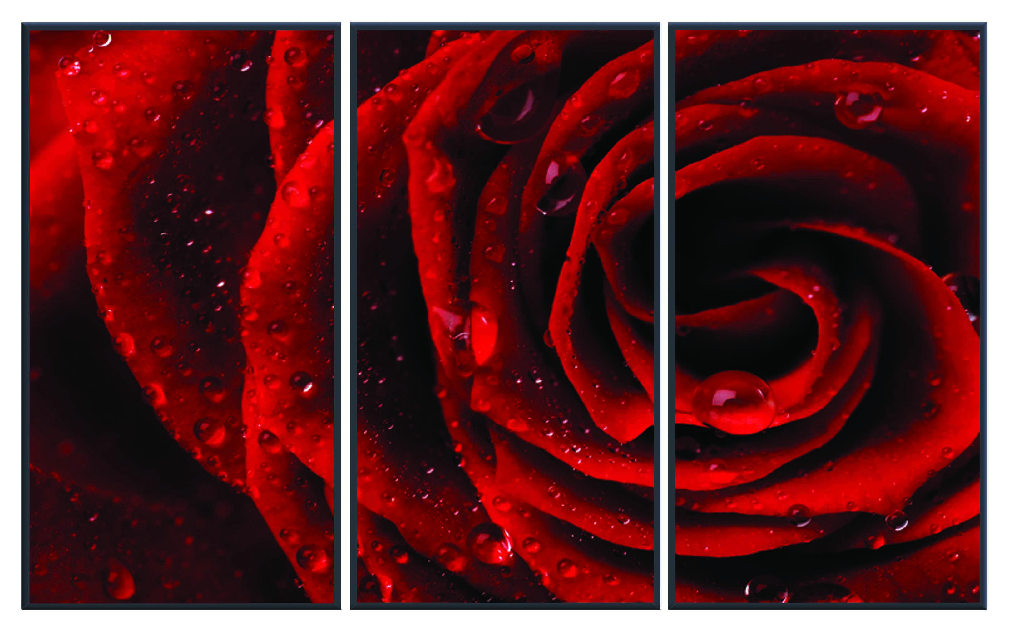 ASG443 Wall décor art printed on glass red rose set of 3
